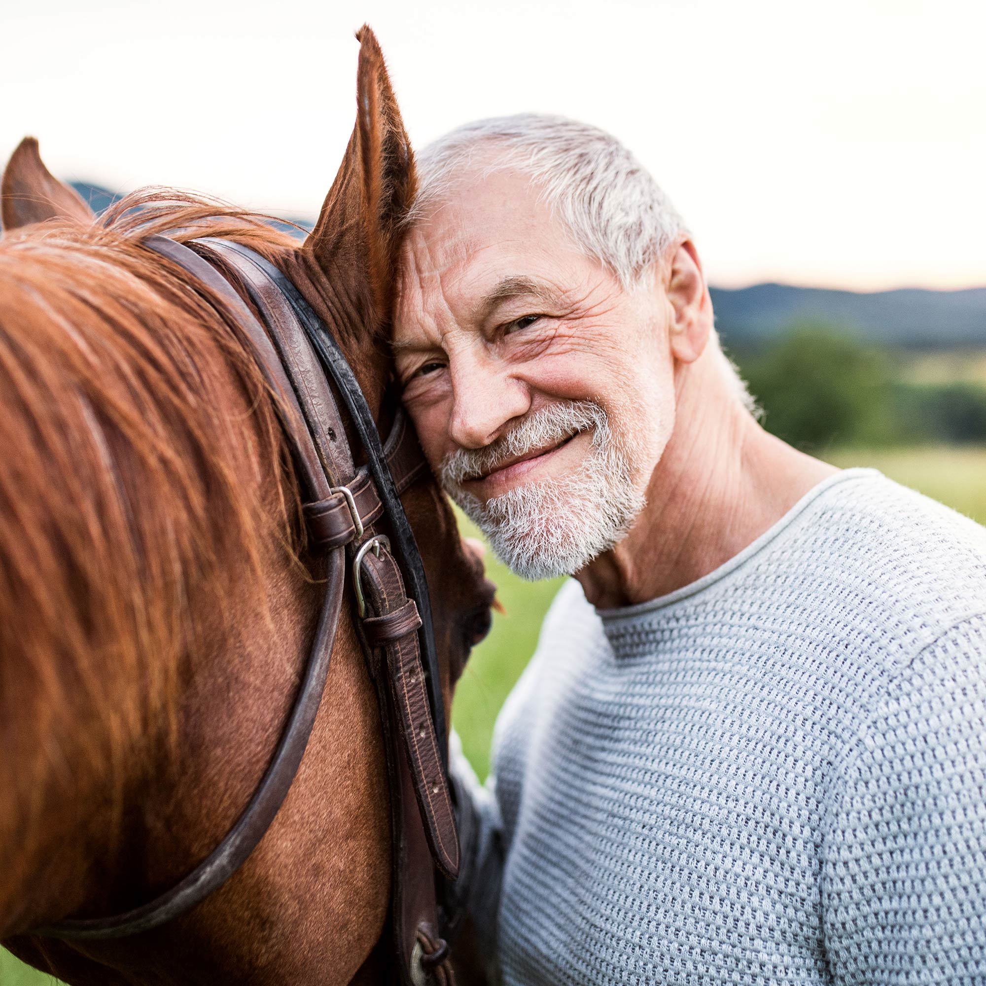 Äldre man och en häst
